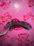Vallejo Lash